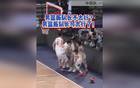 趙睿硬核表現(xiàn)！中國男籃勝日本！