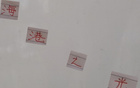 蔣光太復出得點球，維塔爾閃耀海港。