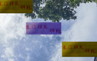 中超三強(qiáng)，國(guó)安、申花、海港，誰(shuí)為豪門(mén)錦鯉？于漢超、柏楊等。