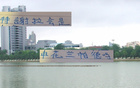 深圳戰(zhàn)敗，賠兵折將，申花蘭帕德、特謝拉顯神勇。