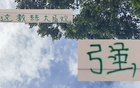 強(qiáng)觀大局！國安主帥輪換險(xiǎn)致敗，多樣陣容更勝一籌。