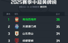 中超半程黃牌榜：西海岸領(lǐng)跑，津門(mén)虎次之，魯蓉成第三。