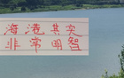 海港明智，無奧斯卡仍爭前四；山東艱難，缺費萊尼。