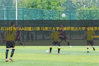 3月28日 NCAA甜蜜16強 馬里蘭大學vs佛羅里達大學 全場錄像