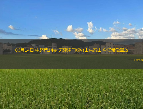 06月14日 中超第14輪 天津津門虎vs山東泰山 全場錄像回放