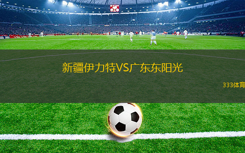 新疆伊力特VS廣東東陽光