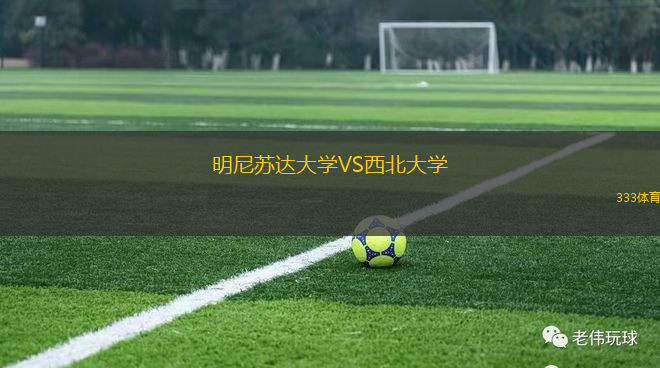 明尼蘇達(dá)大學(xué)VS西北大學(xué)