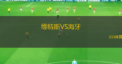 維特斯VS海牙