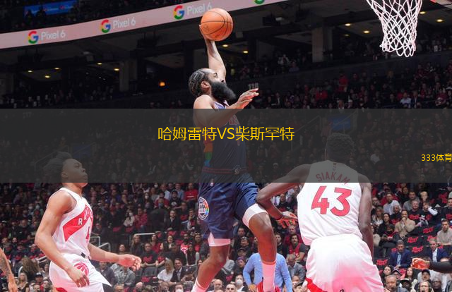 哈姆雷特VS柴斯罕特