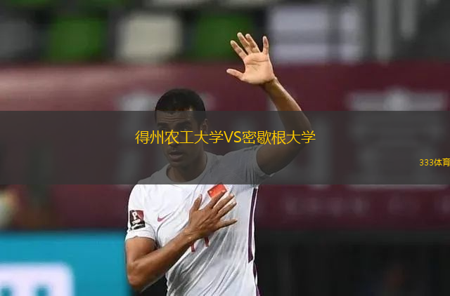 得州農(nóng)工大學(xué)VS密歇根大學(xué)