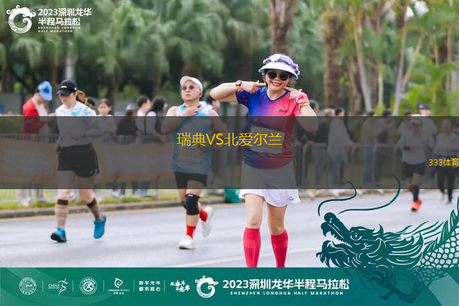 瑞典VS北愛爾蘭