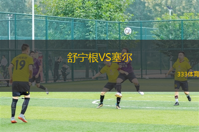 舒寧根VS塞爾