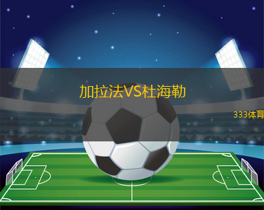 加拉法VS杜海勒