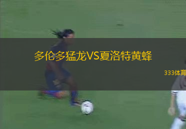 多倫多猛龍VS夏洛特黃蜂