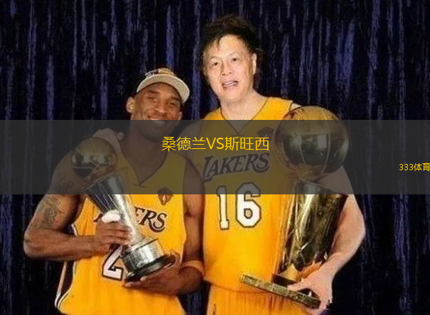 桑德蘭VS斯旺西