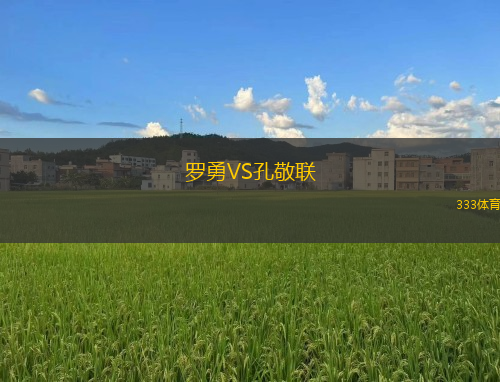 羅勇VS孔敬聯(lián)