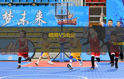峴港VS南定