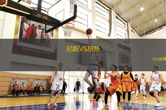 尼斯VS昂熱