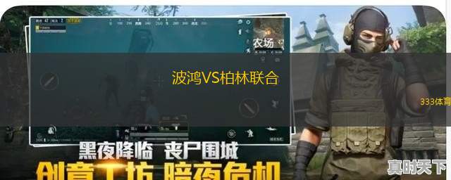 波鴻VS柏林聯(lián)合