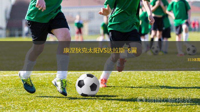 康涅狄克太陽VS達(dá)拉斯飛翼