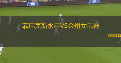 菲尼克斯水星VS金州女武神