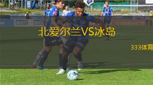 北愛爾蘭VS冰島