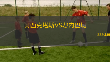 貝西克塔斯VS費(fèi)內(nèi)巴切