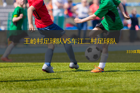 王嶺村足球隊(duì)VS車江二村足球隊(duì)