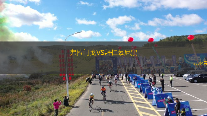 弗拉門戈VS拜仁慕尼黑