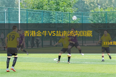 香港金牛VS鹽南湯溝國藏